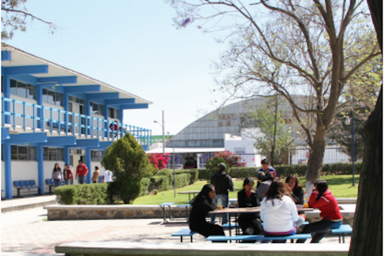 Afectaría recorte investigación y becas. Foto: Especial