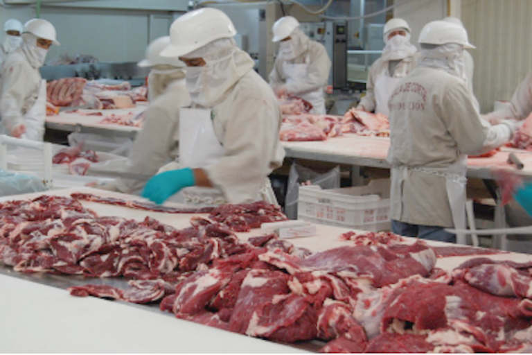 Beneficiará a porcicultores. Foto: Especial