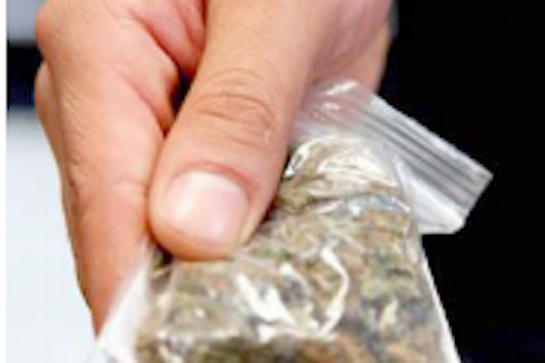 Cateo se realizó en base a denuncia ciudadana. Foto: Especial