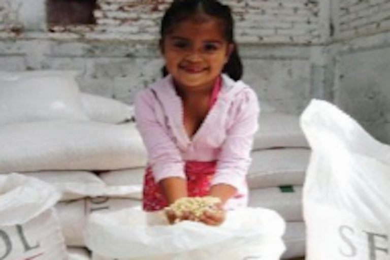 Dan prioridad a programas alimentarios. Foto: Especial