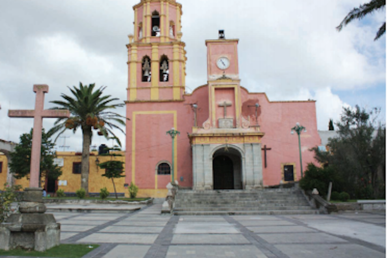 Desconoce de irregularidades de Ochoa. Foto: Especial