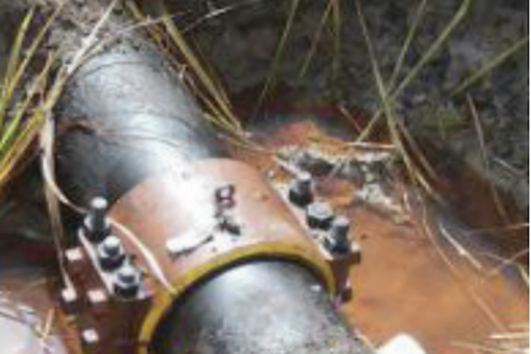 Fue localizada a tiempo. Foto: Especial