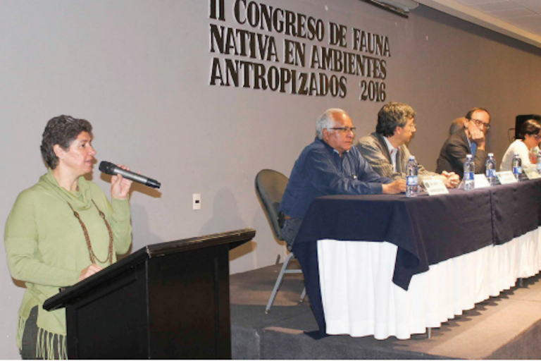 Generan líneas de acción para proteger especies. Foto: Especial