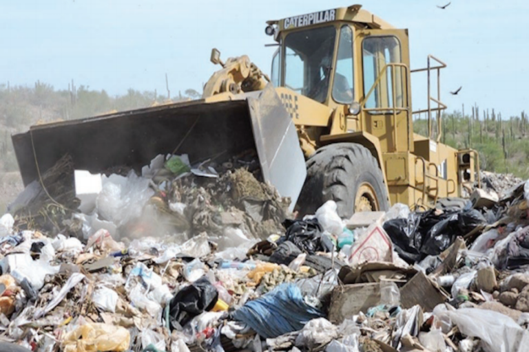 Han tenido que buscar alternativas. Foto: Especial