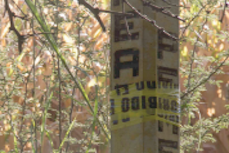 Hubo daño a tierra de cultivo. Foto: Especial