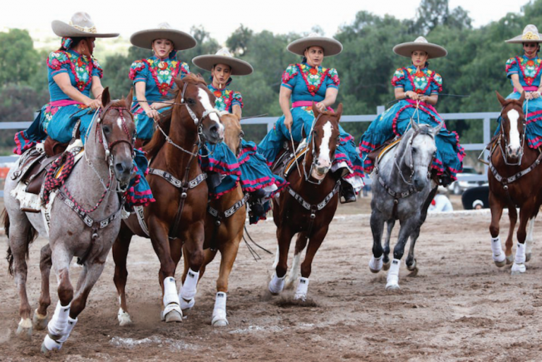 Montan magnífica exposición de talento. Foto: Especial