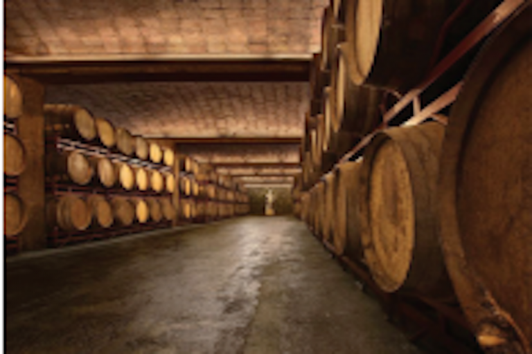 Muy interesada en invertir en el estado. Foto: Especial