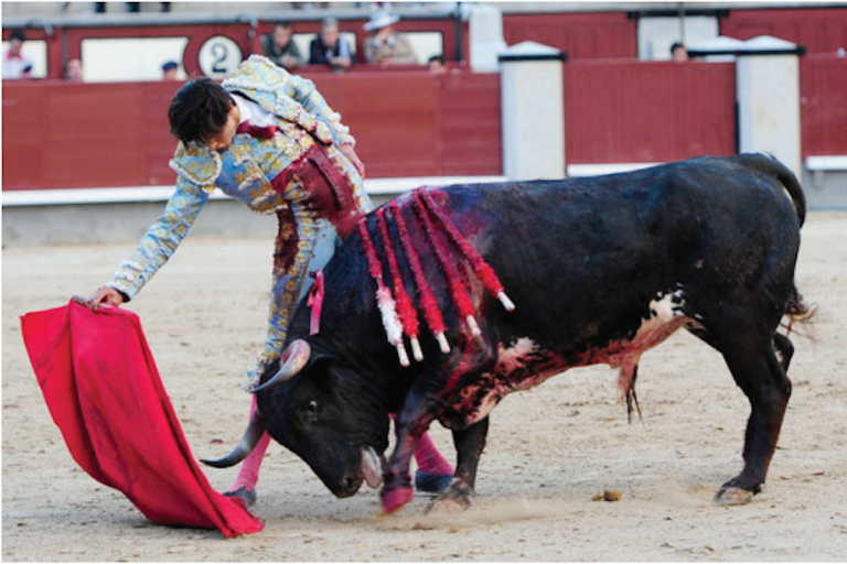 Pasan fecha a 18 de noviembre. Foto: Especial