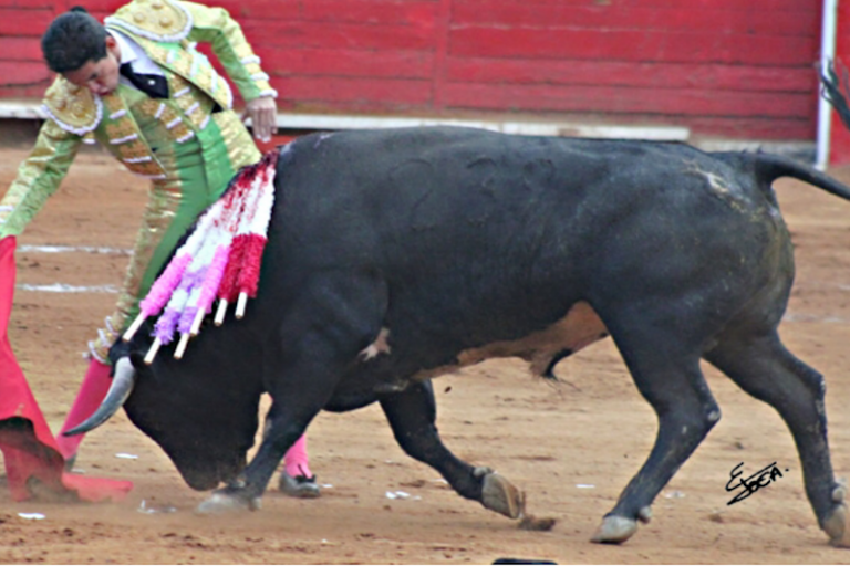 Una corrida y una novillada en noviembre. Foto: Especial
