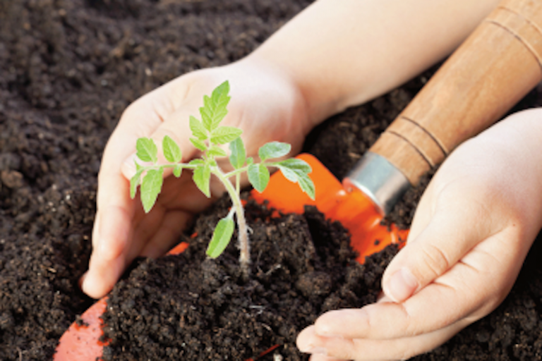 130 árboles serán plantados. Foto: Especial