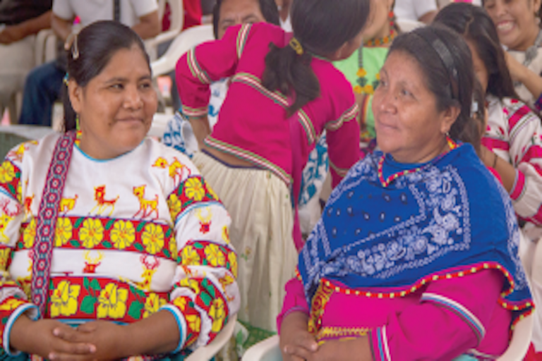 Apoyan a comunidades con población indígena. Foto: Especial