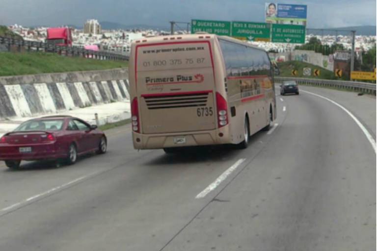 Consideran el valor ecológico. Foto: Especial