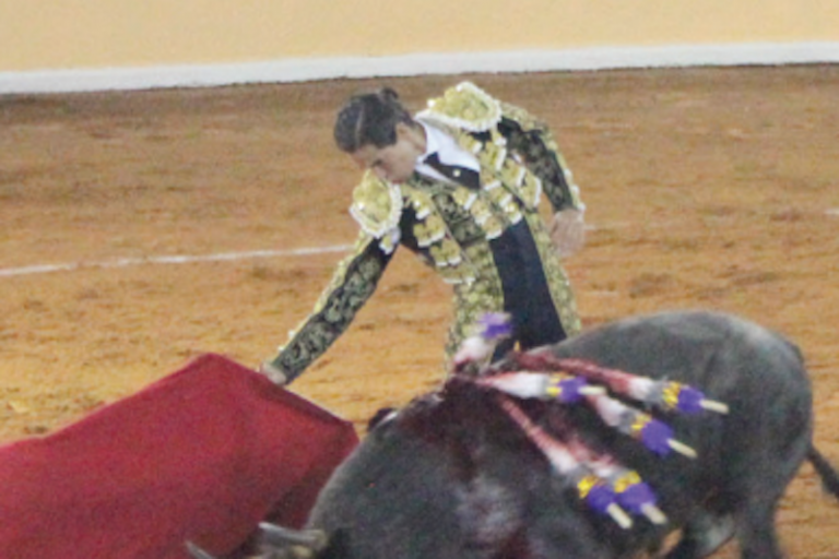 Demostraron su practica en el ruedo