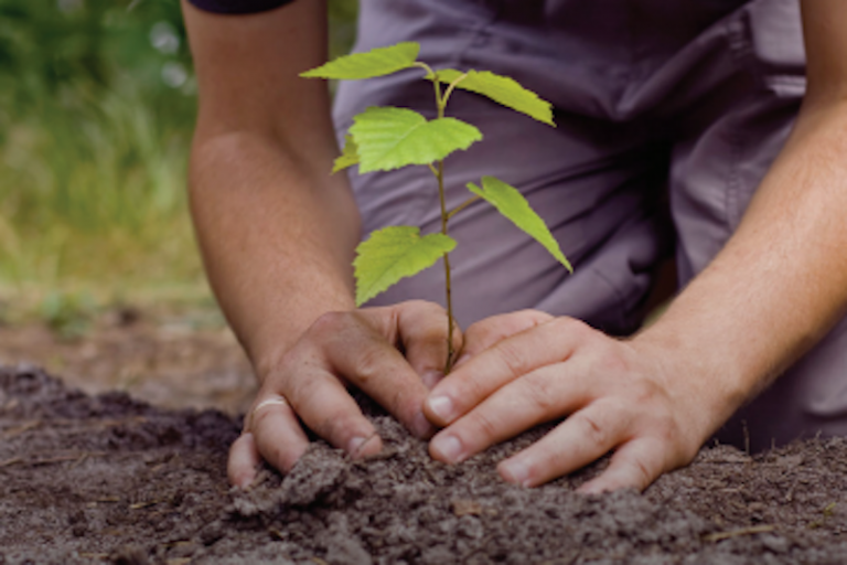 Donativos serían deducibles de impuestos. Foto: Especial