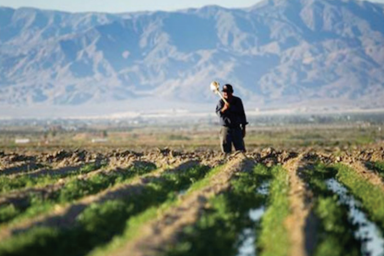 El campo podría ser de los sectores menos afectados. Foto: Especial