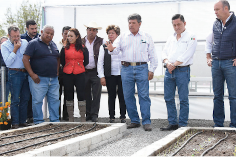 Enseñan a trabajar en un huerto familiar. Foto: Especial