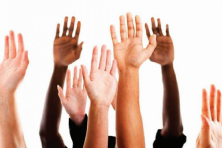 Exceso de participación ciudadana. Foto: Especial