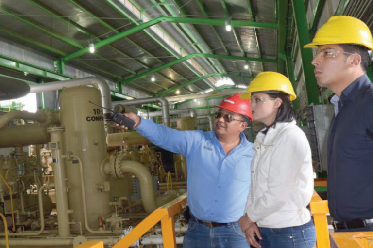 Generan empleos. Foto: Especial