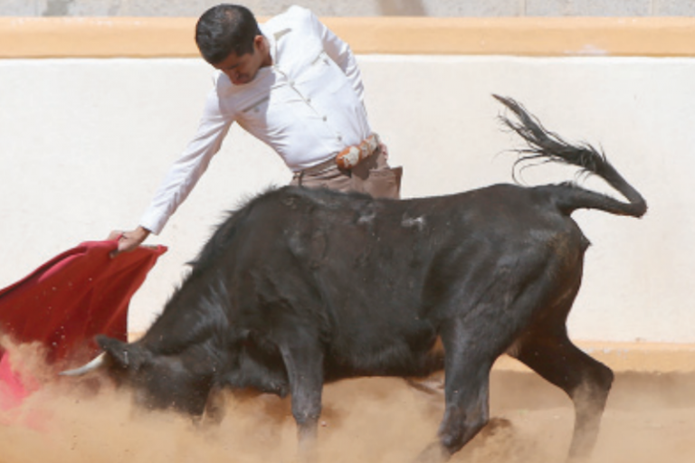 La intención es que los jóvenes asistan. Foto: Especial