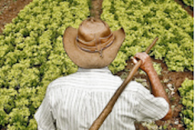 Pide impulsar desarrollo agropecuario con secretaría. Foto: Especial