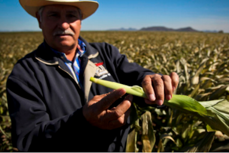 Precupa que los manejos puedan afectar al municipio. Foto: Especial