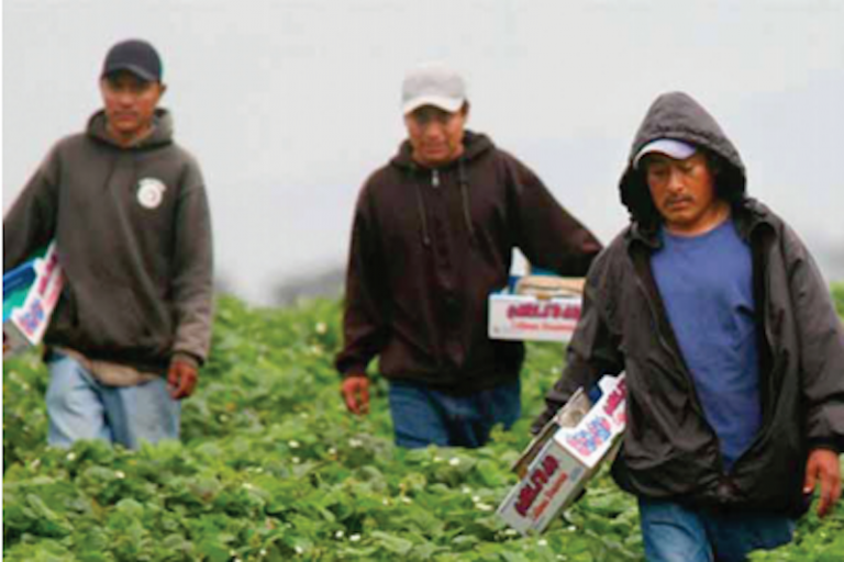 Retorno no será de forma inmediata. Foto: Especial