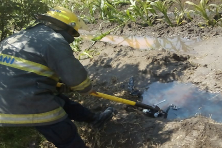 Se analizan los daños generados por este delito. Foto: Especial