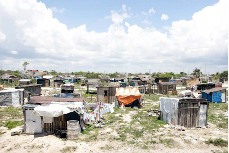 Se estiman más de 30 colonias implicadas. Foto: Especial