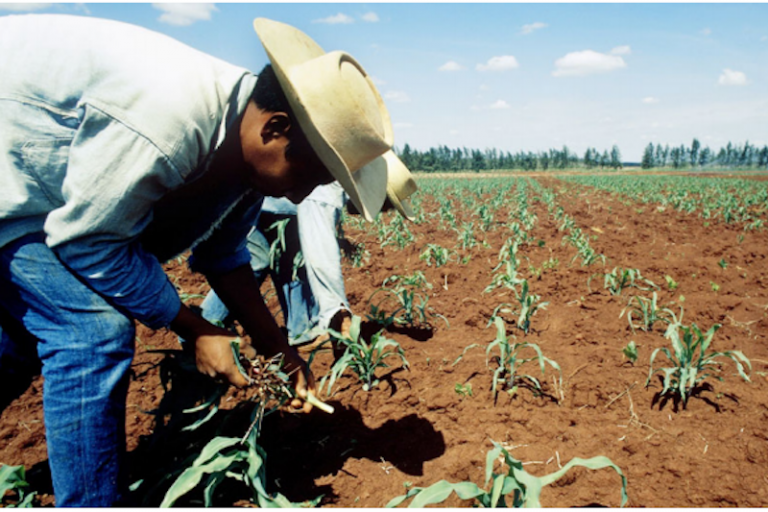 Sostienen reuniones con campesinos de ejidos. Foto: Especial