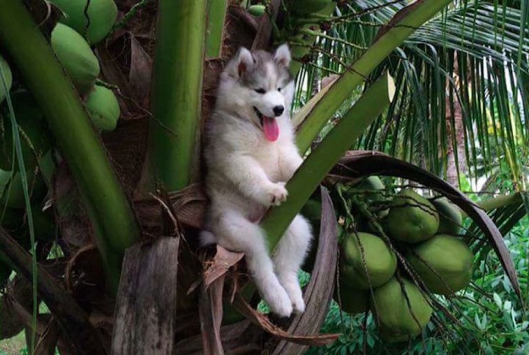 f492734b31ac5d56f56414af276793c2_XL