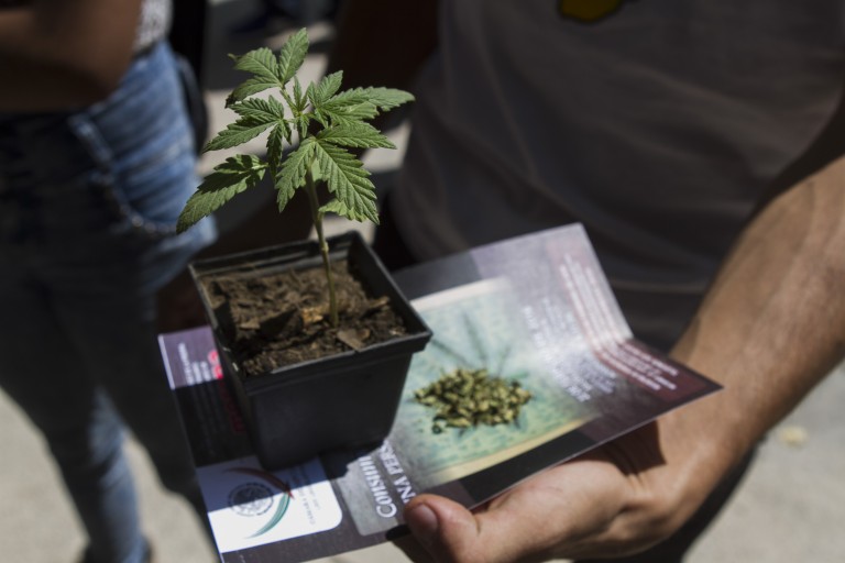 Asamblea_consumidores_mariguana-3