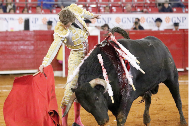 Cortan oreja. Foto: Especial