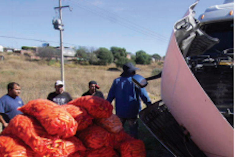 Dejan parada la autopista. Foto: Especial