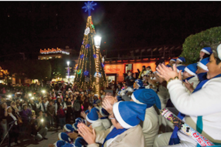 Encienden árbol de navidad. Foto: Especial