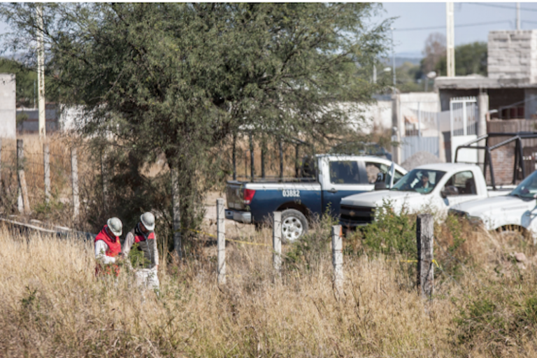 Esta temporada se refuerzan los operativos de vigilancia. Foto: Especial