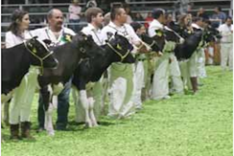 Impulsan a productores ganaderos. Foto: Especial