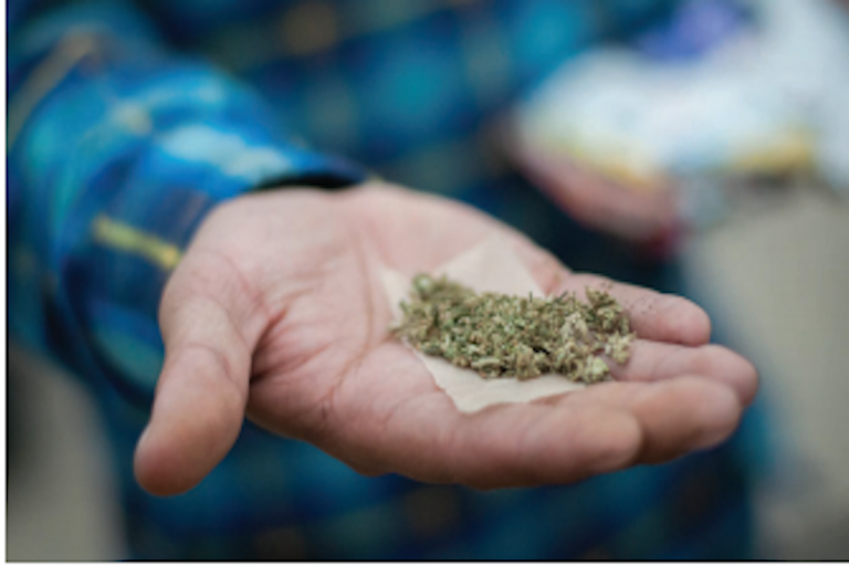 Justificada legalización de la marihuana. Foto: Especial