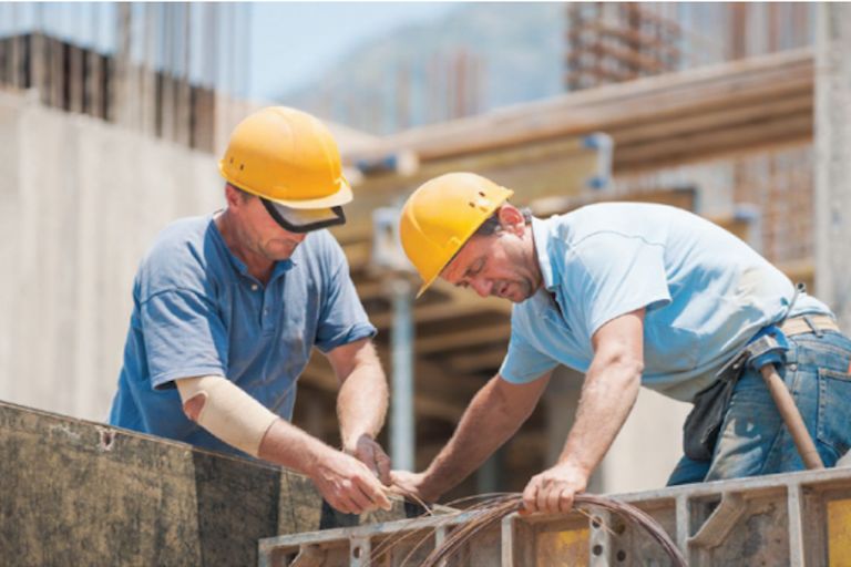 Llega a ser hasta un año. Foto: Especial