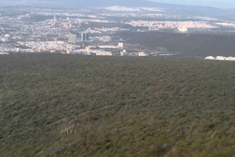 Piden nombramiento de zonas protegidas. Foto: Especial