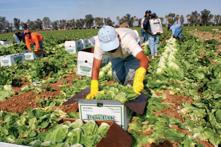 Proyectan recursos. Foto: Especial