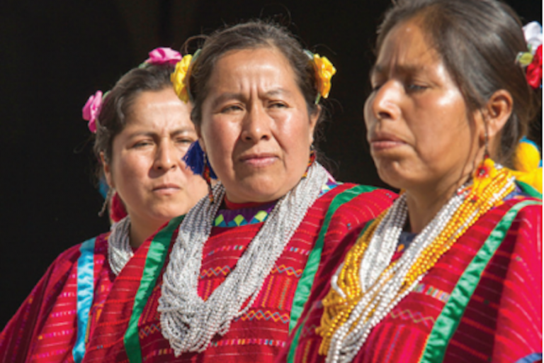 Se hizo un estudio para la integración. Foto: Especial