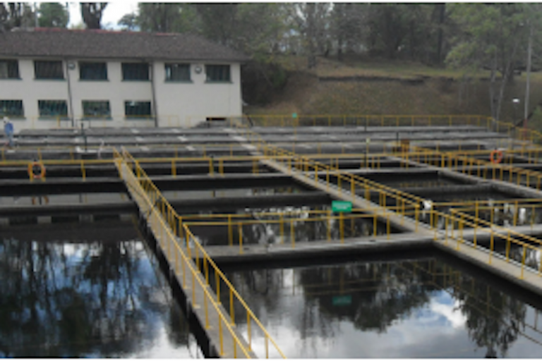 Se inyectará un total de 290 mdp. Foto: Especial