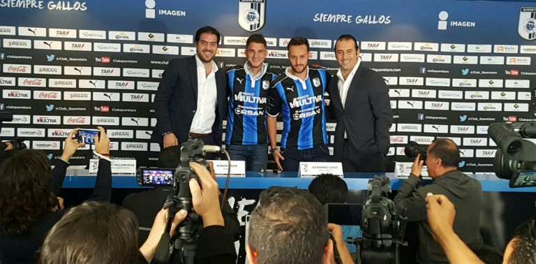 gallos