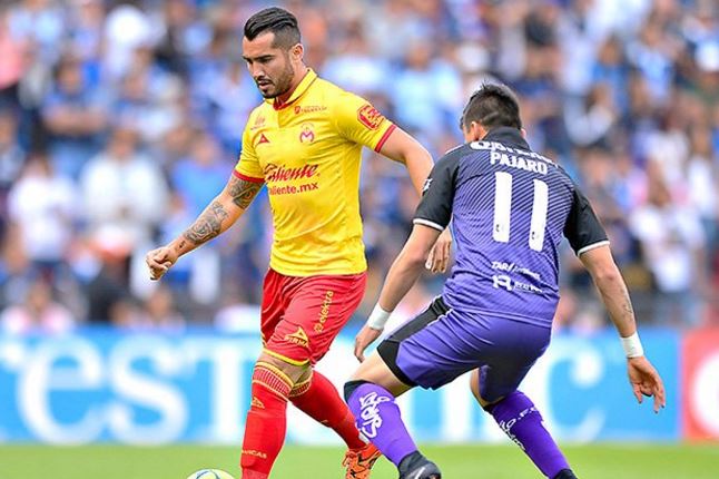 @Fuerzamonarca