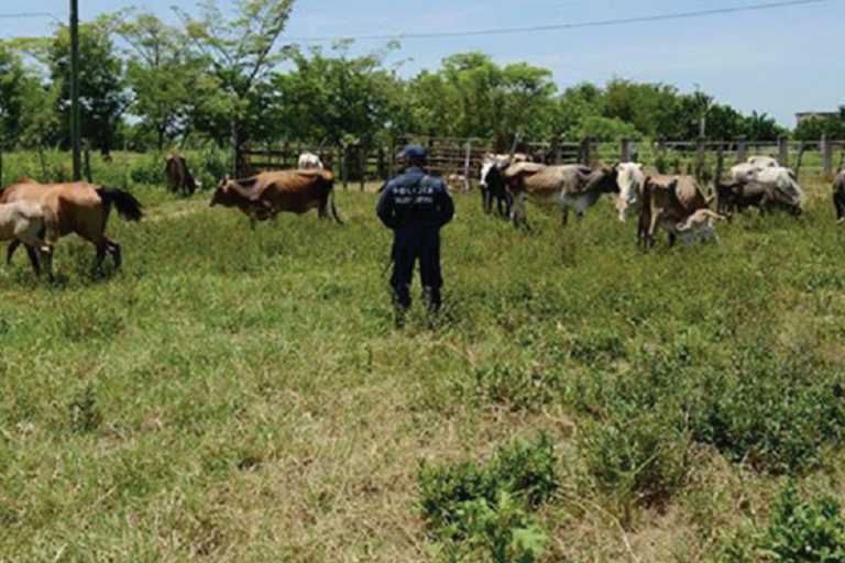 Buscan endurecer penas por abiegato. Foto: Especial