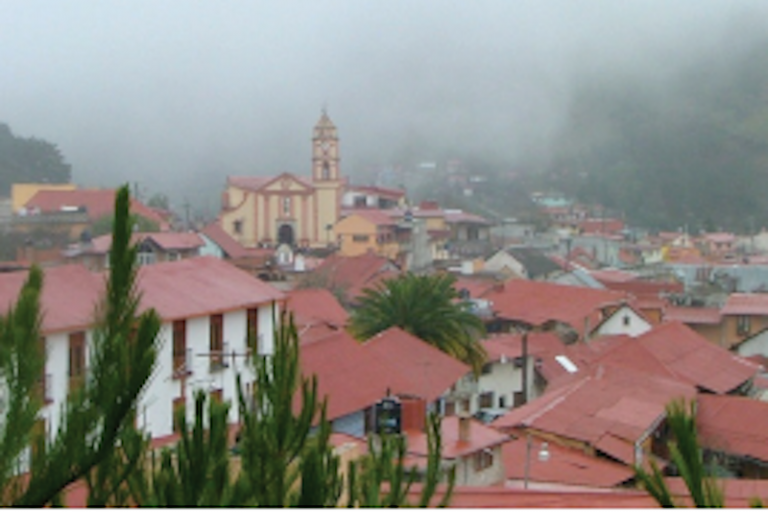 Buscan mejorar condiciones de vida con la participación. Foto: Especial