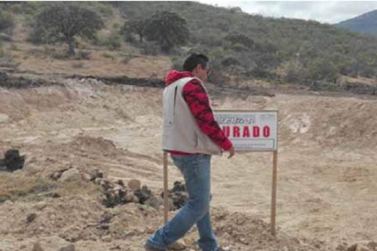 Fueron afectados 15 mil metros cuadrados. Foto: Especial