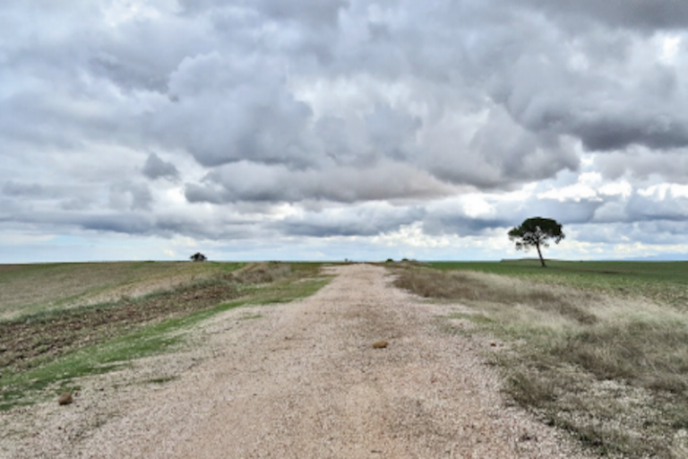 Los permisos están restringidos por la autoridad. Foto: Especial