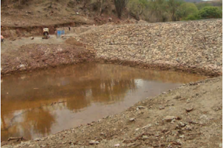 Pedirá apoyo para realizar proyecto. Foto: Especial