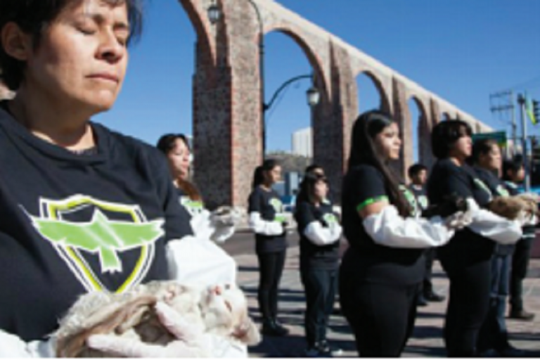 Piden sancionar a asociación. Foto: Especial